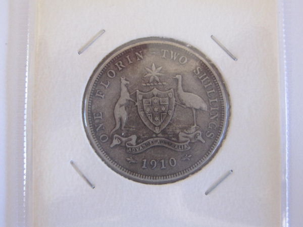 New-Arrivals-Now-With-Actual-Photos-:d-See-Bottom-Of-Page
